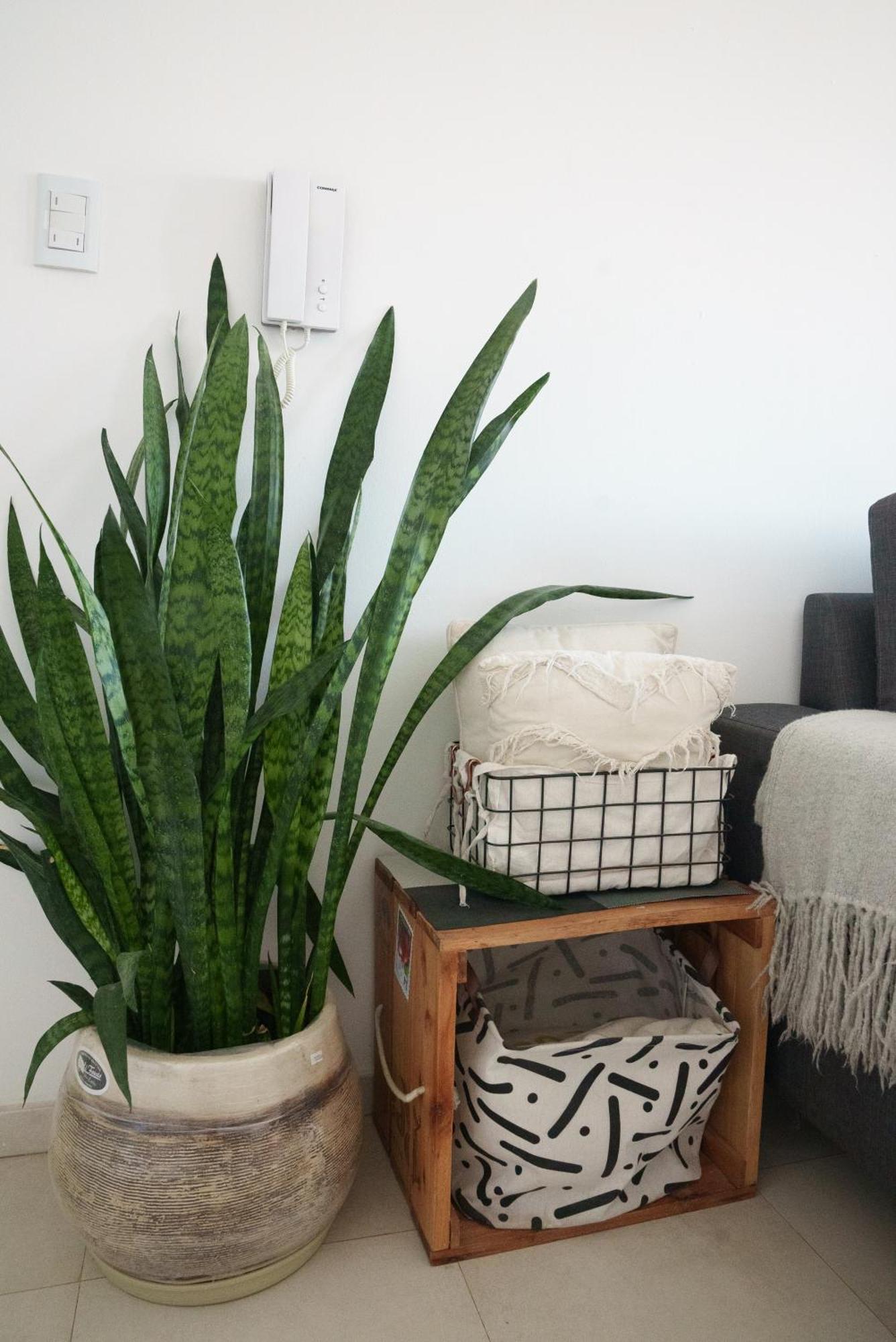 Departamento 2 Premium Con Cochera Y Piscina * Bahia Blanca